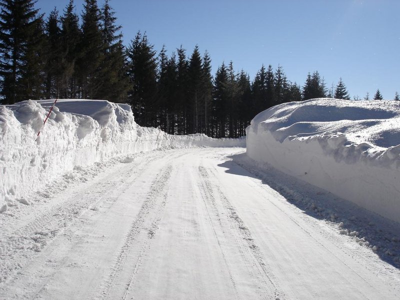 Domaine AbracadaRoom : Domaine de L'Ours*** - Image 11