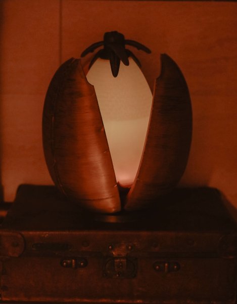 Hébergement AbracadaRoom : Galerie des sorts perdus - Image 23