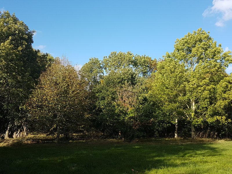 Hébergement AbracadaRoom : La Tiny House & SPA du Lutin Many - Image 38