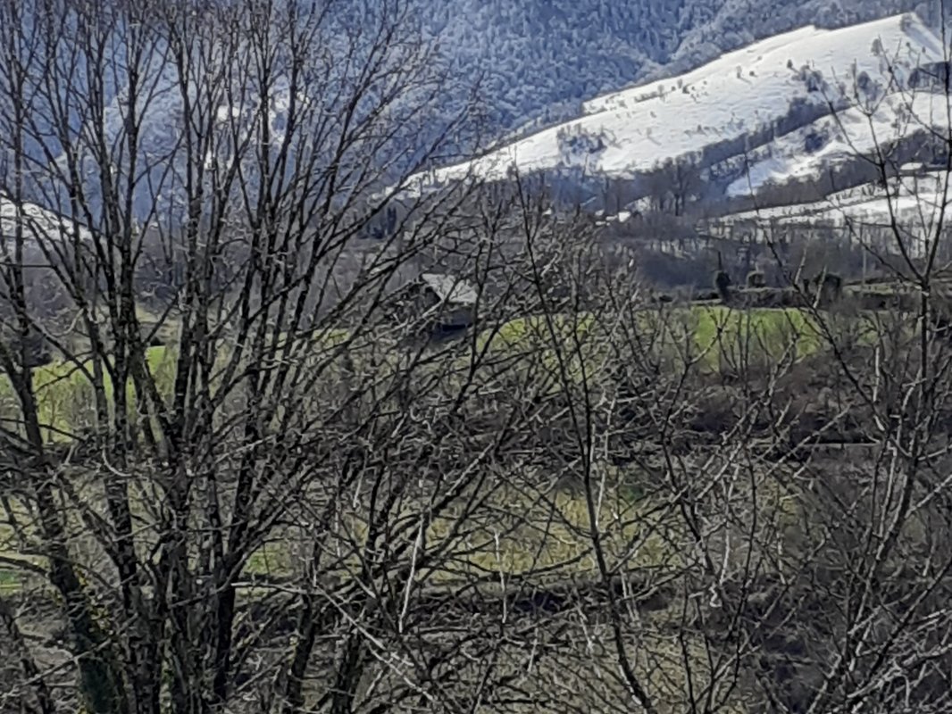 La Roulotte qui chuchote &spa à Neuilh (16)