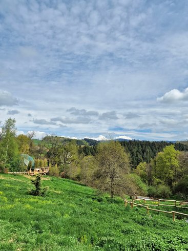 Domaine AbracadaRoom : Bois de Luna - Image 7