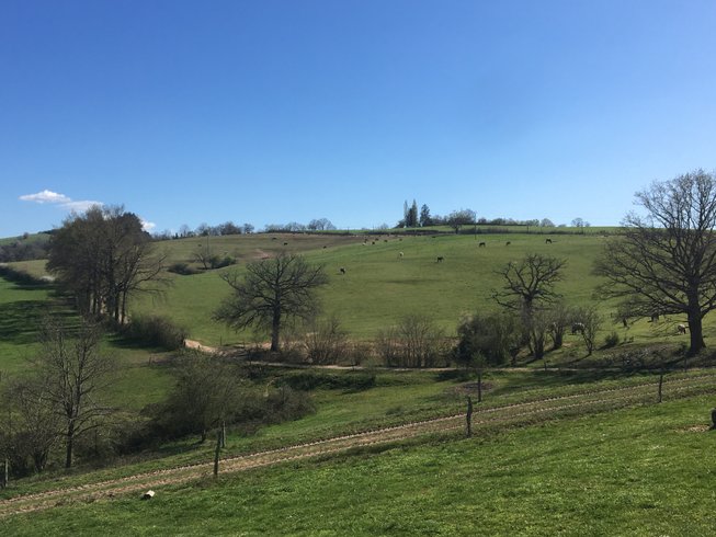 Domaine AbracadaRoom : Centre Equestre de la Vallée - Image 1