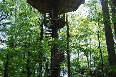 acces-escalier-canopee-cabane-belle