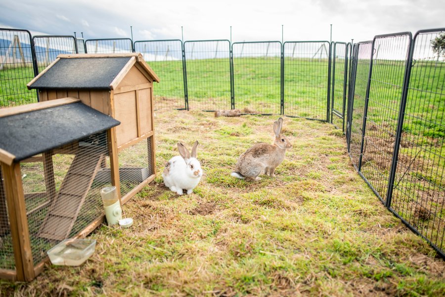 Domaine AbracadaRoom : Domaine des Étoiles - Image 15