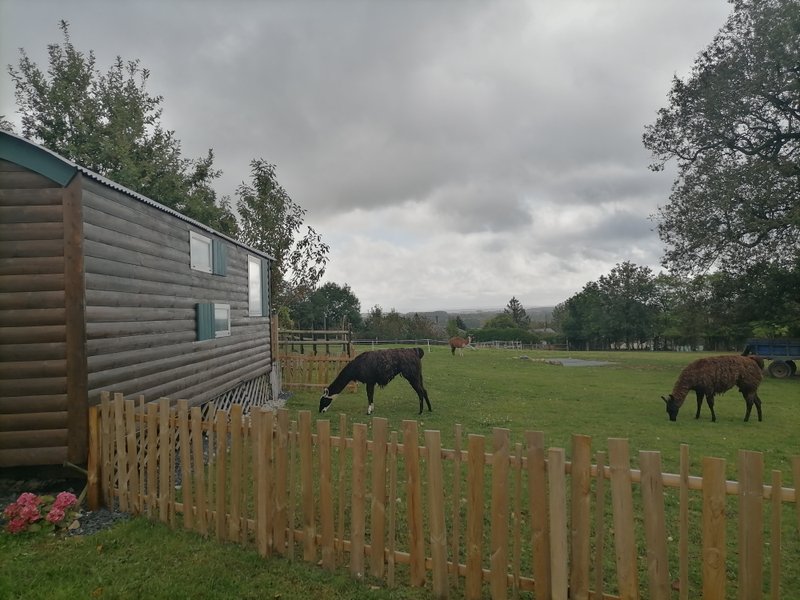 Domaine AbracadaRoom : Ecodomaine Rêver Ailleurs - Image 21