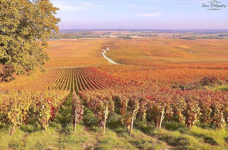 Hébergement AbracadaRoom : Tente Cosy - Image 17