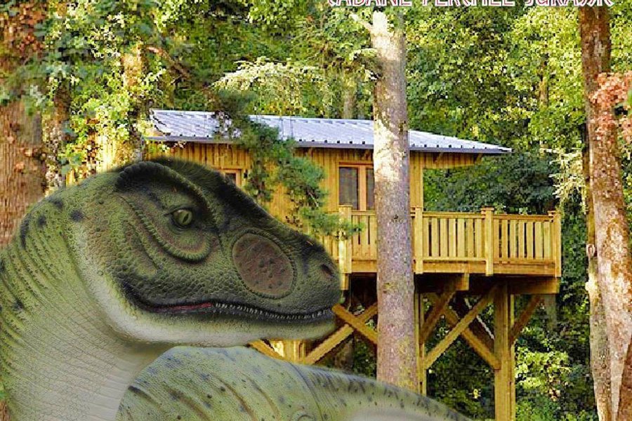 Cabane Perchée Jurassic — photo 2