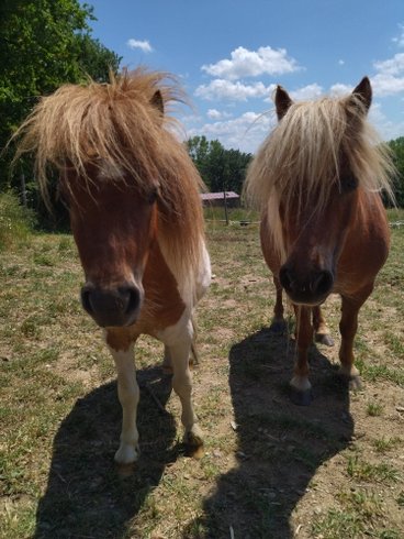 Hébergement AbracadaRoom : Cabane nordique - Image 10