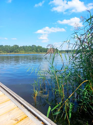 Domaine AbracadaRoom : Seasonova Camping Etang de la  Vallée - Image 3