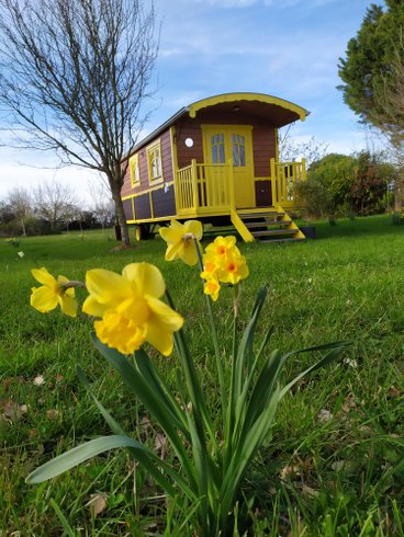 Hébergement AbracadaRoom : La roulotte "Sous le soleil" - Image 3
