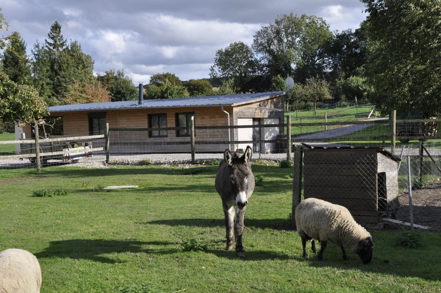 Domaine AbracadaRoom : La maison du bonheur  " roulotte" - Image 8