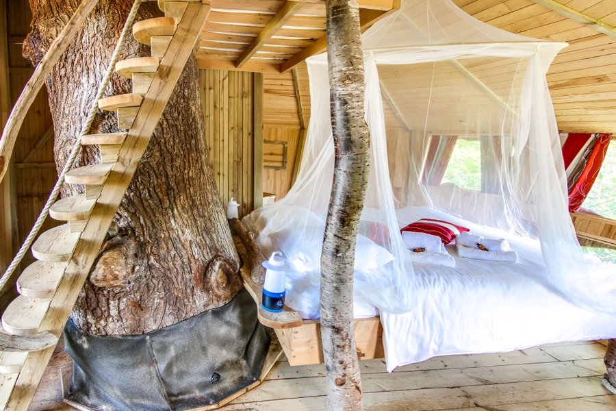 Hébergement AbracadaRoom : Cabane dans les arbres - Image 3