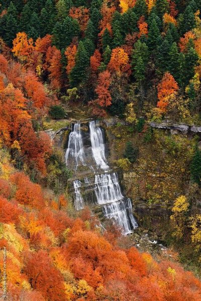 Domaine AbracadaRoom : Les Logettes de Caroline - Image 57
