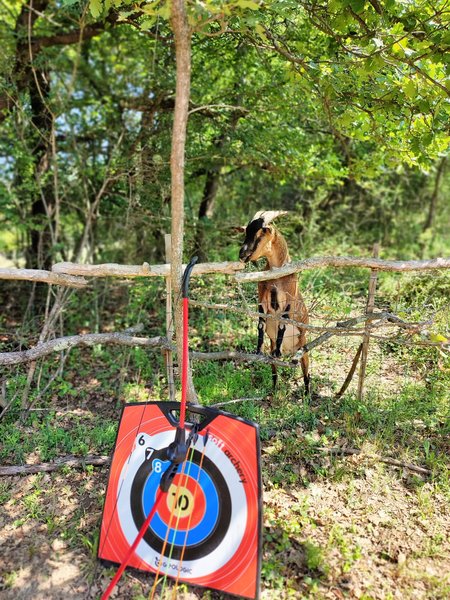 Domaine AbracadaRoom : Le campement Sous les Pins - Image 9