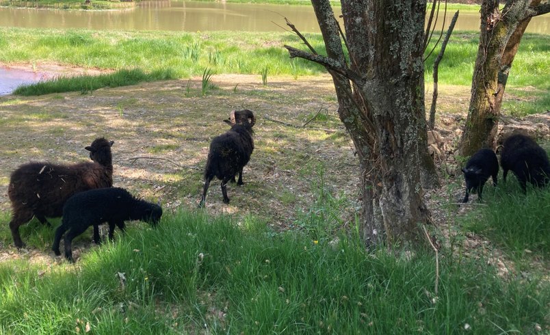 Hébergement AbracadaRoom : Ecolodge insolite -100% Eco-Responsable - Image 17