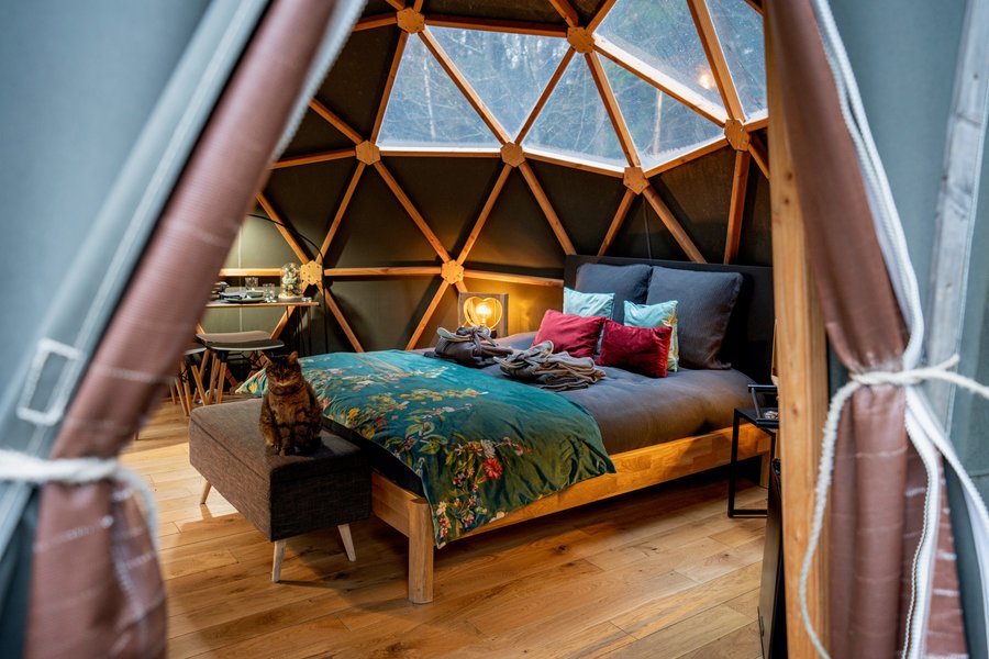 Hébergement AbracadaRoom : Dôme au milieu des Alpagas - Image 17