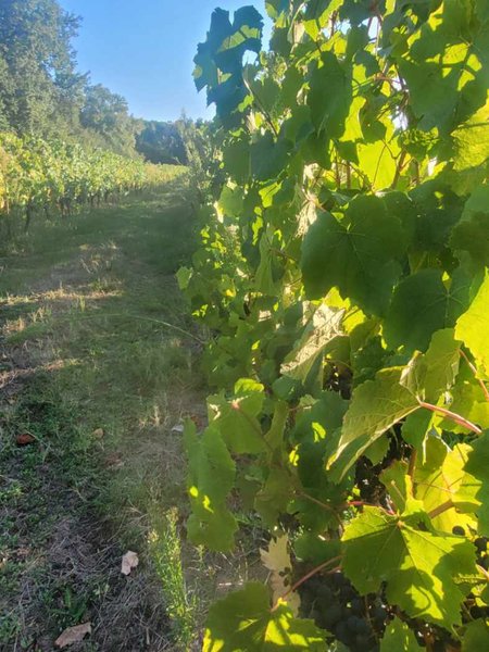 Hébergement AbracadaRoom : Le Dôme romantique du lac de la Cadie & Spa - Image 25