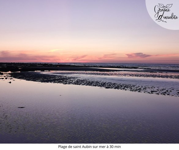 Hébergement AbracadaRoom : La Tiny Graine d'insolite - Image 23