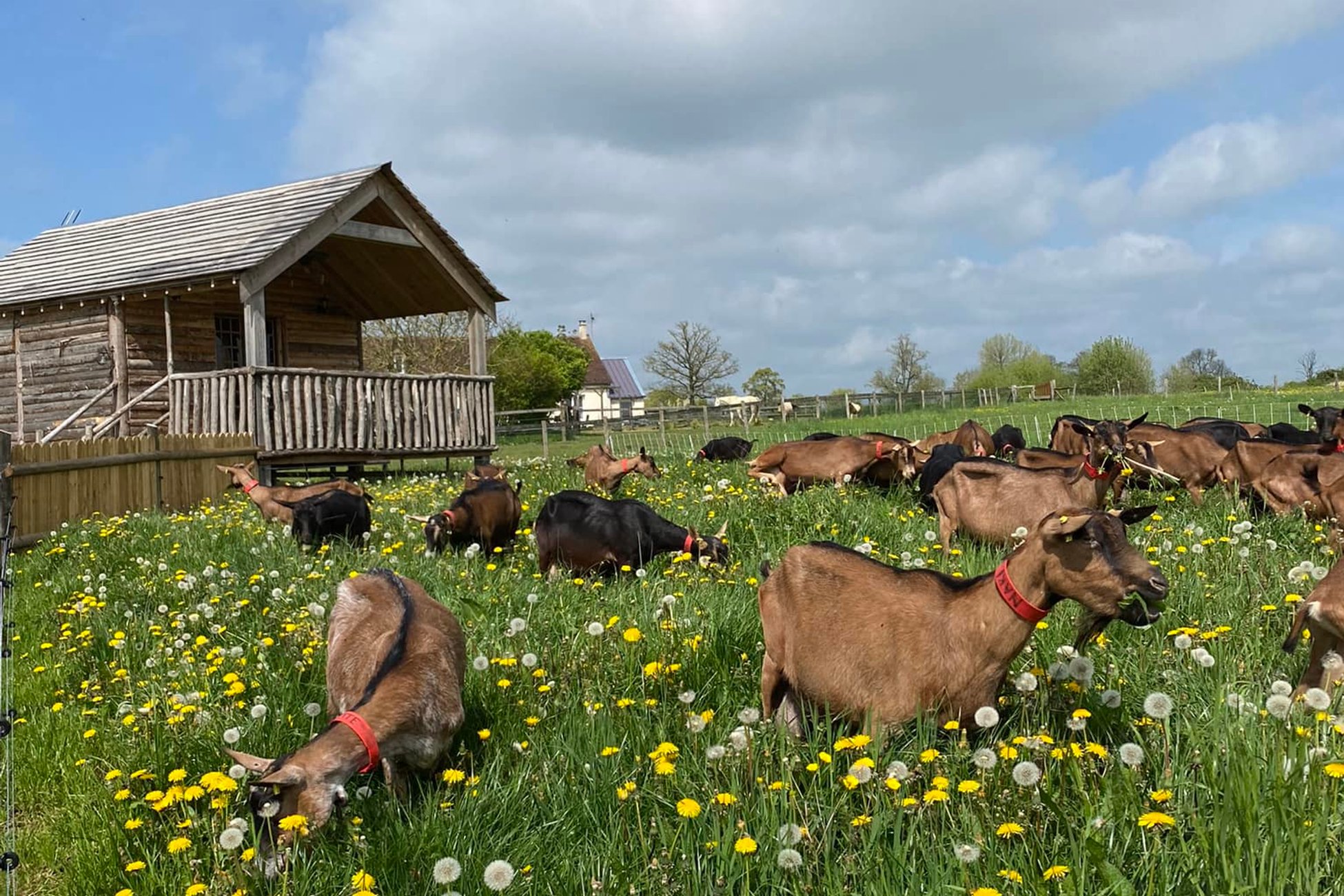 Hébergement UnicStay : La Cabane de Jabi à Trémont
