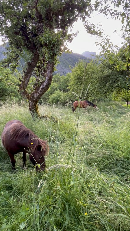 La Mine de Buck & Spa à Le Biot (18)