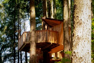 Cabane dans les arbres Rhône