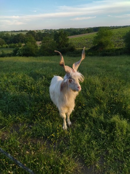Domaine AbracadaRoom : Les Chemins d'Ambre & Thaïs - Image 9