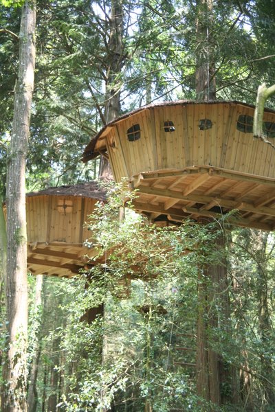 Hébergement AbracadaRoom : Cabane Familiale La Barbe - Image 5