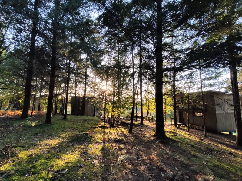 Domaine AbracadaRoom : Spalazen Nature - Image 7