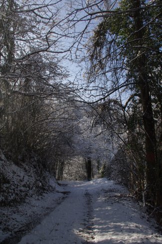 Domaine AbracadaRoom : La Cabane aux Rêves - Image 15