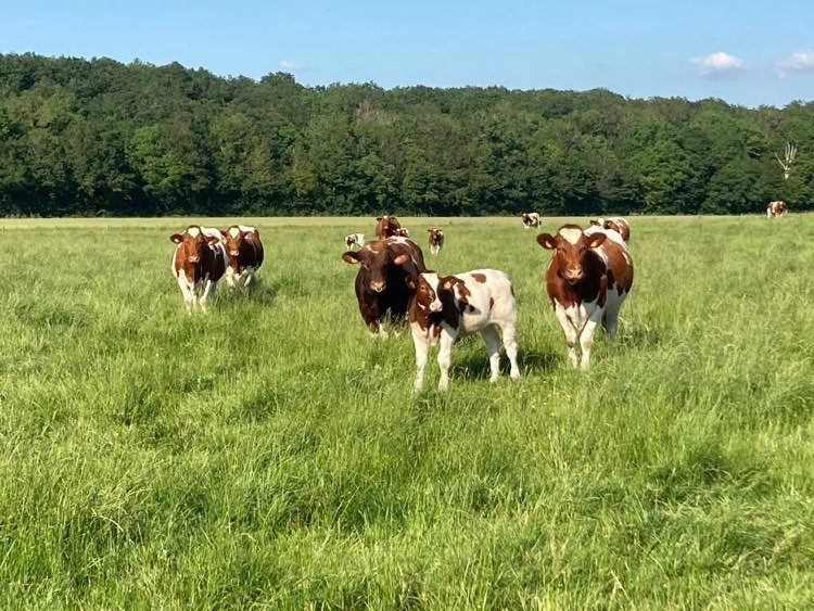 Domaine AbracadaRoom : Au Pré des Alizés - Image 2