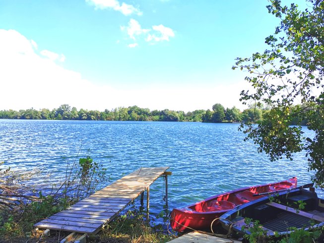 Domaine AbracadaRoom : Le Laurier Blanc - Image 1