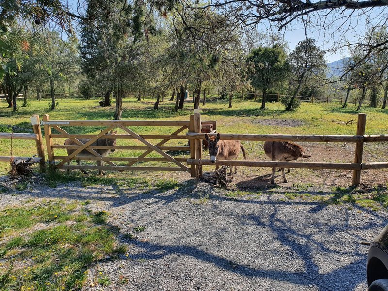 Hébergement AbracadaRoom : Roulotte gîte Nuit d'Amour & SPA - Image 12