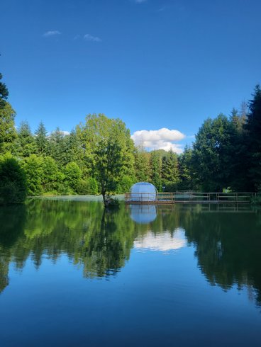 Domaine AbracadaRoom : Bulle DO - Image 1