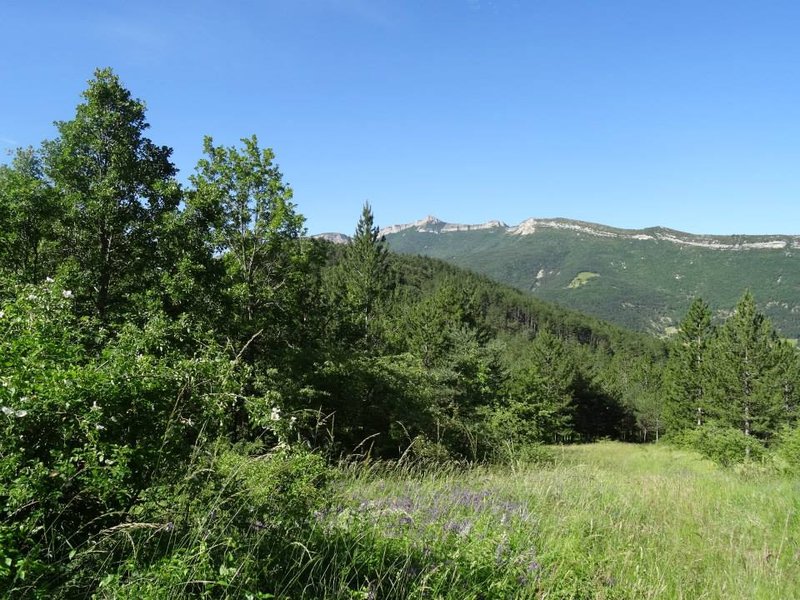 Domaine AbracadaRoom : Les Cabanes du Pas de la Louve - Image 4