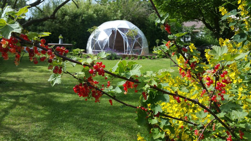 Hébergement AbracadaRoom : Bulle Spa igloo - Image 2