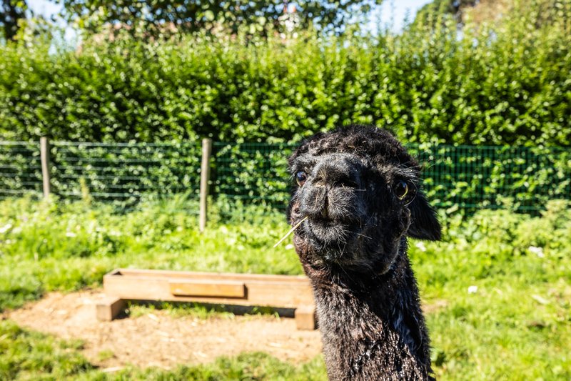 Domaine AbracadaRoom : Seasonova Les Mouettes - Image 28