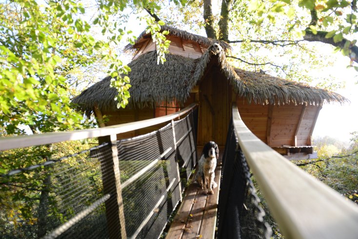 Hébergement AbracadaRoom : Charbonnière - Image 15