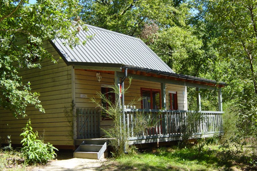 Domaine AbracadaRoom : Castelwood - Image 3