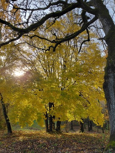 Domaine AbracadaRoom : Domaine Arcadia - Image 4