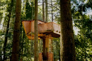 Cabane PINSON - Séance Sauna offerte