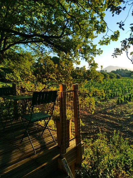 Hébergement AbracadaRoom : La Cabane du Ventoux - Image 22