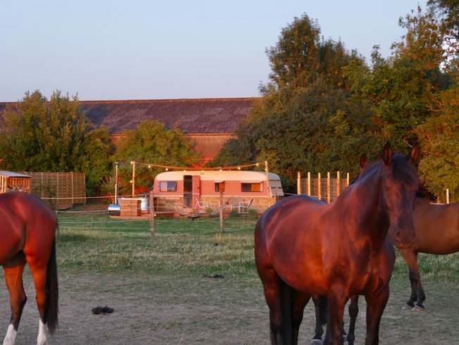 Hébergement AbracadaRoom : Tiny House Terracotta & bain nordique - Image 14