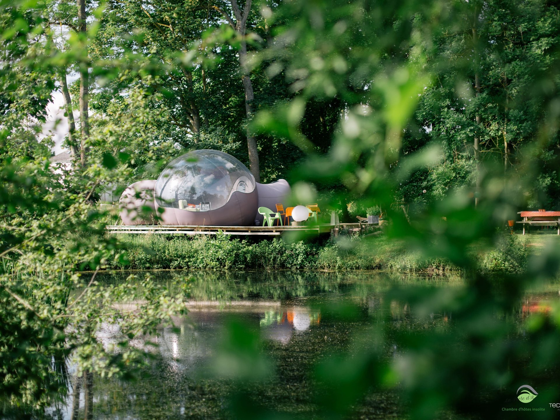 La Bulle au bord de l'eau & Spa et Vélos électriques