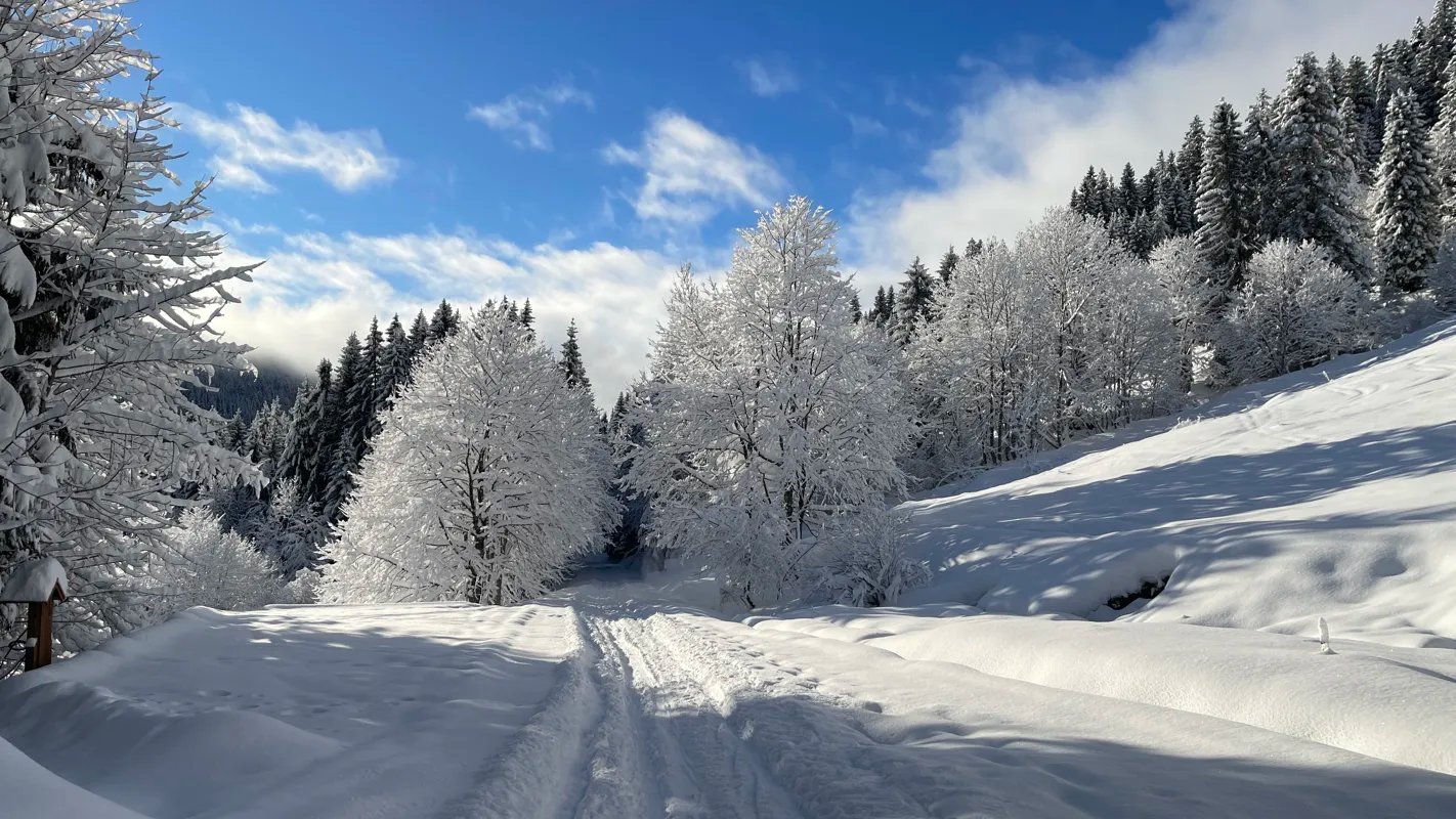 Chalet Beauregard - Location intégrale à Taninges (37)