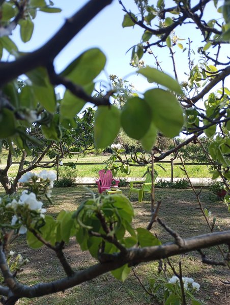 Hébergement AbracadaRoom : La Roulotte Spa Gitane - Image 22