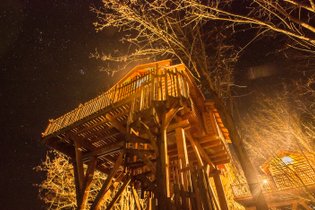 Treehouse castle Gironde
