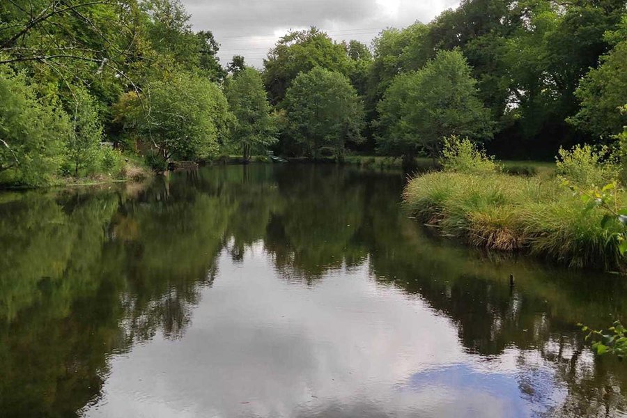 Hébergement AbracadaRoom : Dôme des Songes & Spa - Image 6