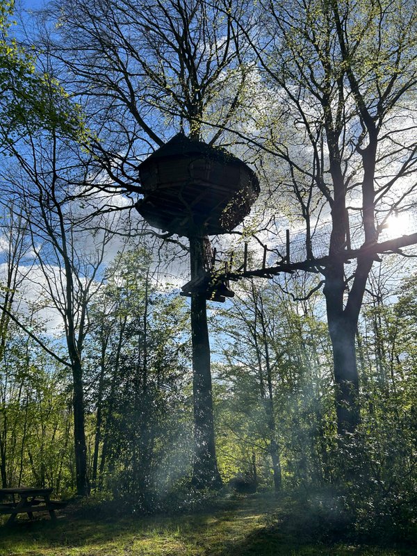 La cabane Haut-Perchée & Spa à Wail (12)