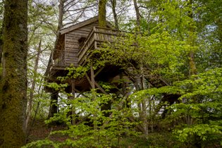Cabane dans les arbres Vosges
