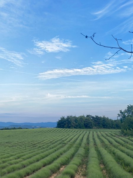 Domaine AbracadaRoom : Homnest (Viens) - Image 8